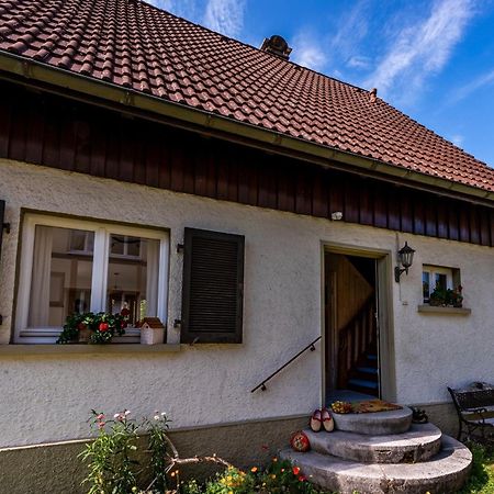 Gartenferienhaus "Annaluise" Schönau im Schwarzwald Exteriör bild