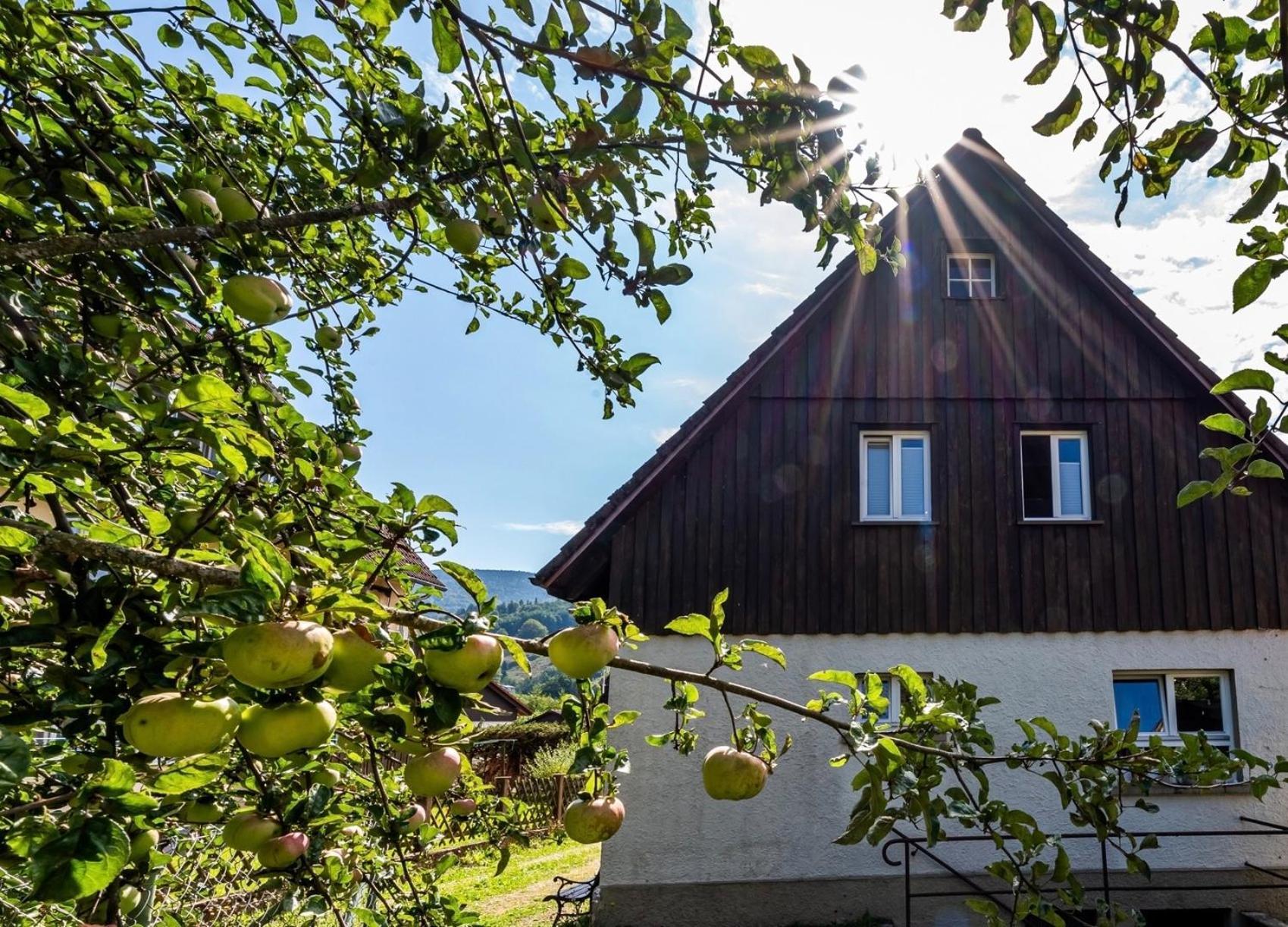 Gartenferienhaus "Annaluise" Schönau im Schwarzwald Exteriör bild